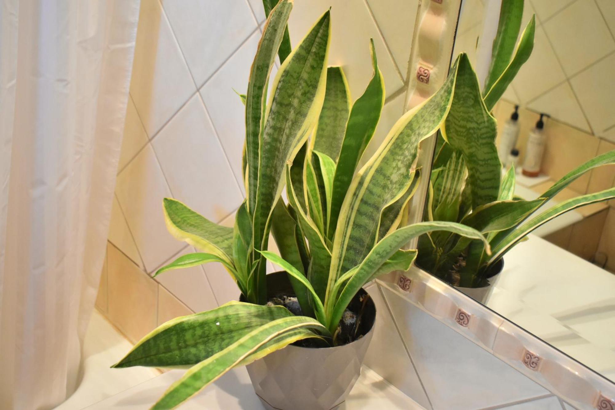 Gomfoi - Smart Town Appartement *
